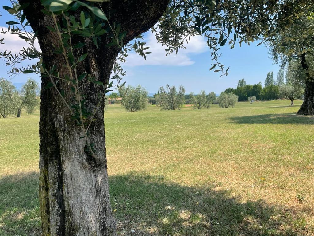 Garda Golf Country Chic Home 索亚诺·德尔·拉戈 外观 照片